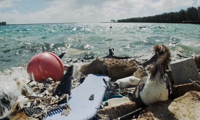 Oversvømmes av plast